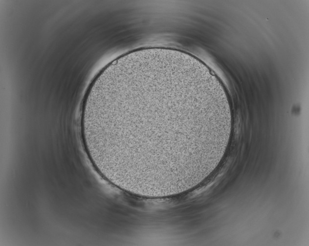 X0000094351053200711301357