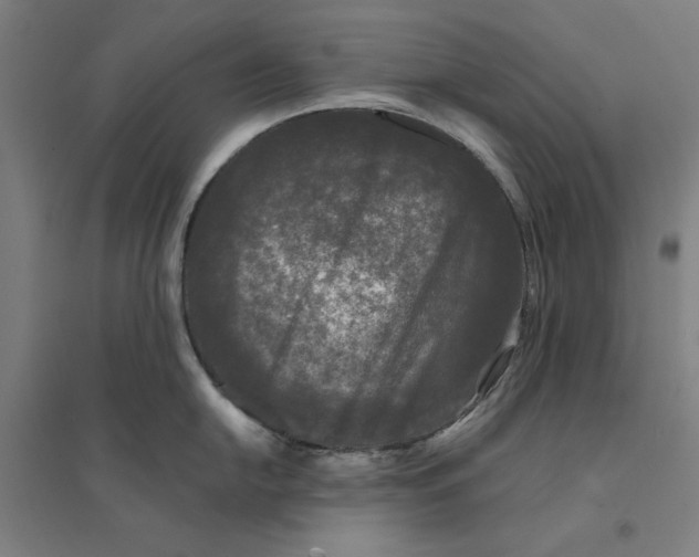 X0000094351054200711301357