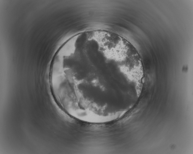 X0000094351055200711301357