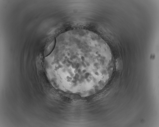 X0000094351059200711301356