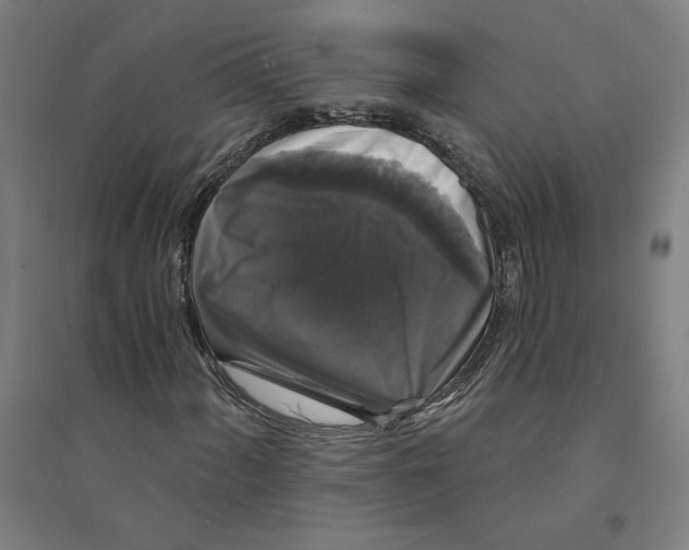 X0000094351060200711301356
