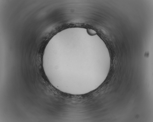 X0000094351062200711301356