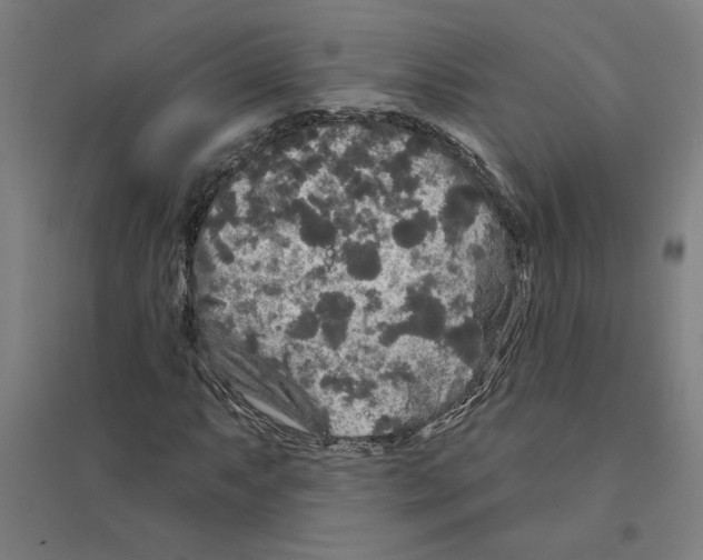 X0000094351063200711301356