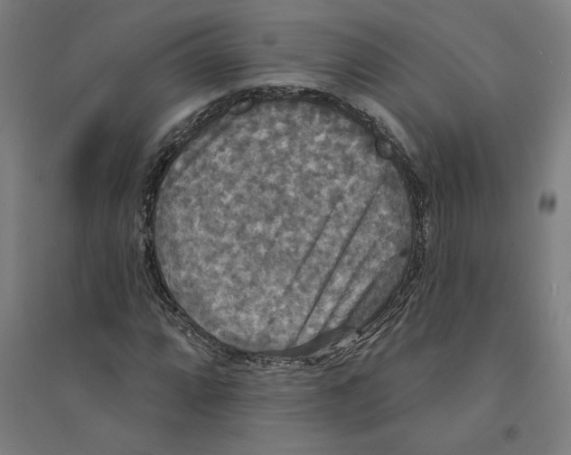 X0000094351064200711301356