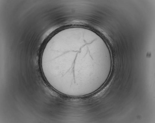 X0000094351066200711301356