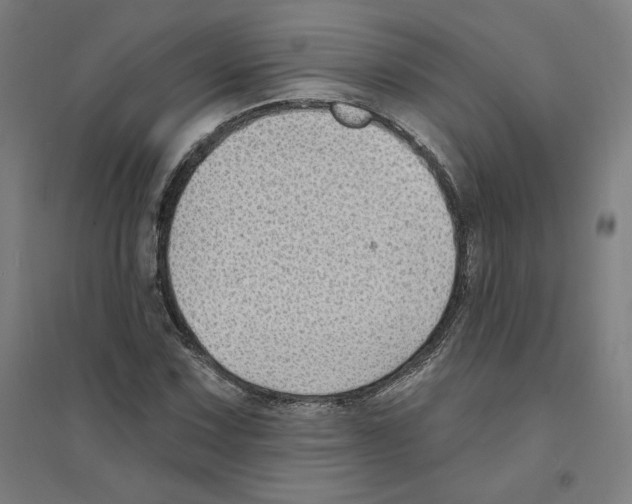 X0000094351067200711301356
