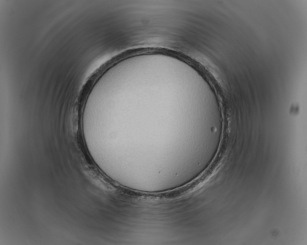 X0000094351069200711301356