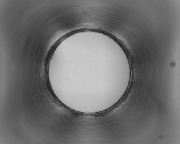 X0000094351070200711301356