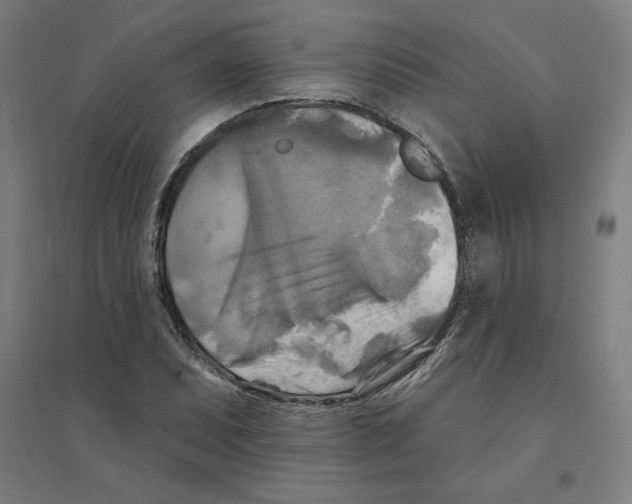 X0000094351071200711301356
