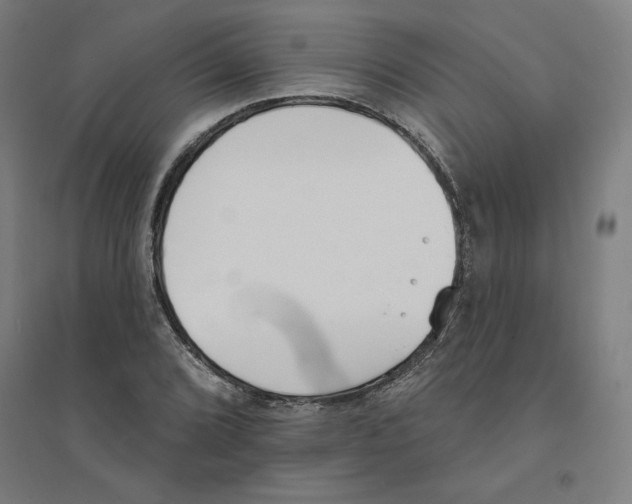 X0000094351072200711301356
