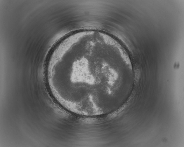 X0000094351074200711301356