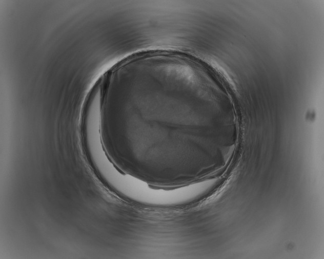 X0000094351077200711301356