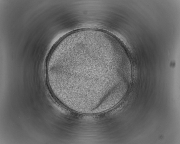 X0000094351078200711301356