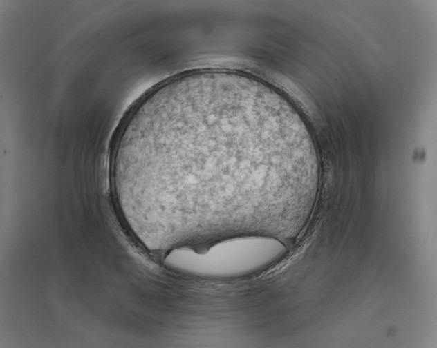 X0000094351079200711301356