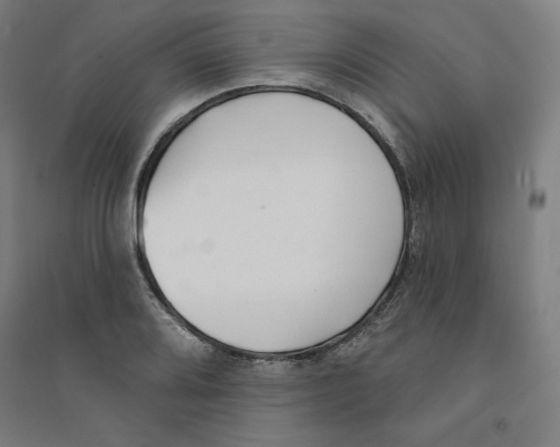 X0000094351080200711301356
