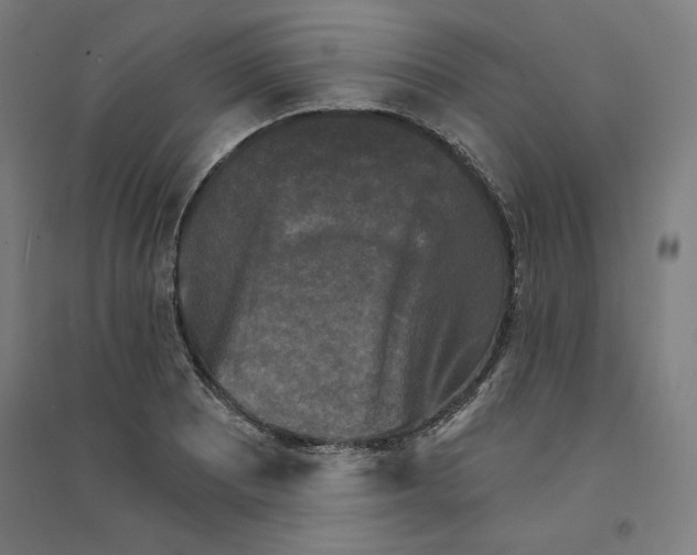X0000094351081200711301356