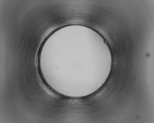 X0000094351082200711301356