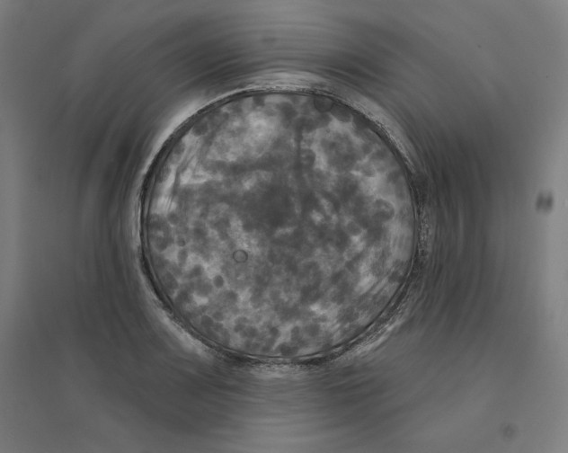 X0000094351083200711301356