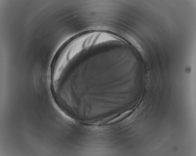 X0000094351084200711301356