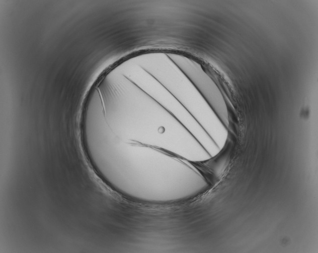 X0000094351085200711301356