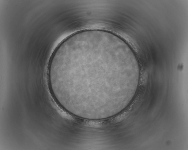 X0000094351086200711301356