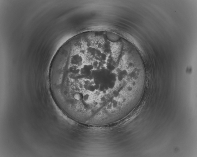 X0000094351087200711301356