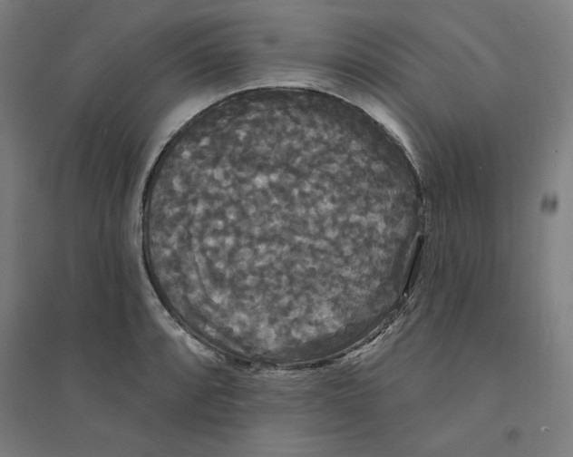 X0000094351088200711301356