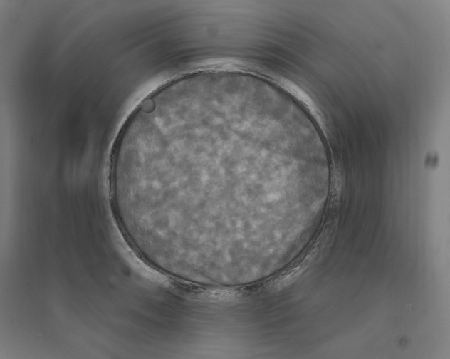 X0000094351090200711301356