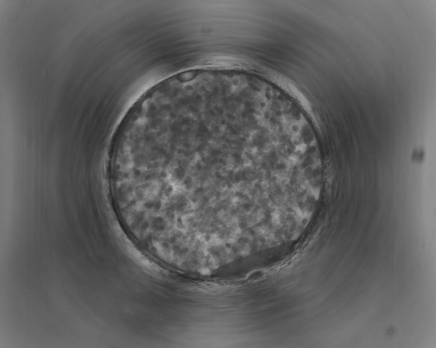 X0000094351091200711301356