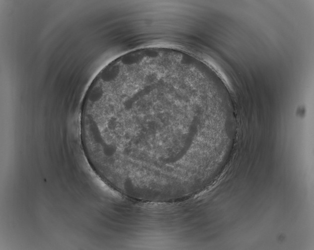 X0000094351092200711301356