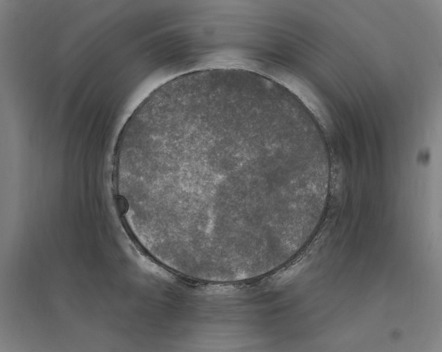 X0000094351094200711301356