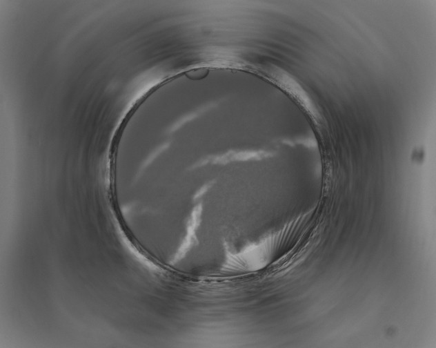 X0000094351095200711301356