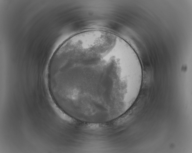 X0000094351098200711301355