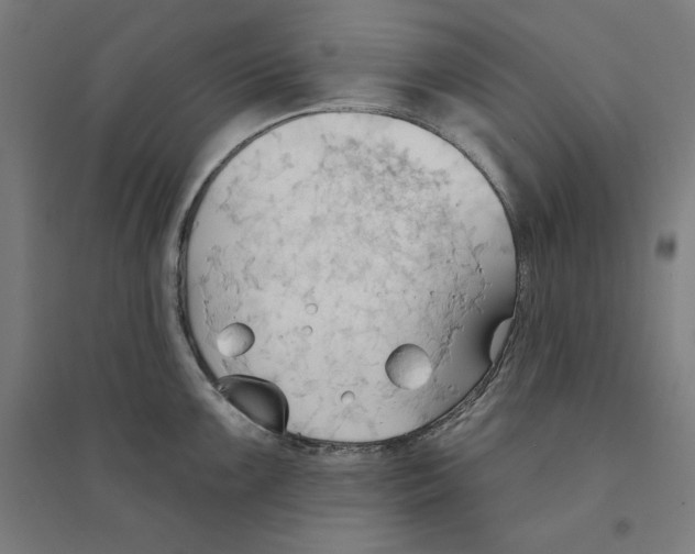 X0000094351099200711301355