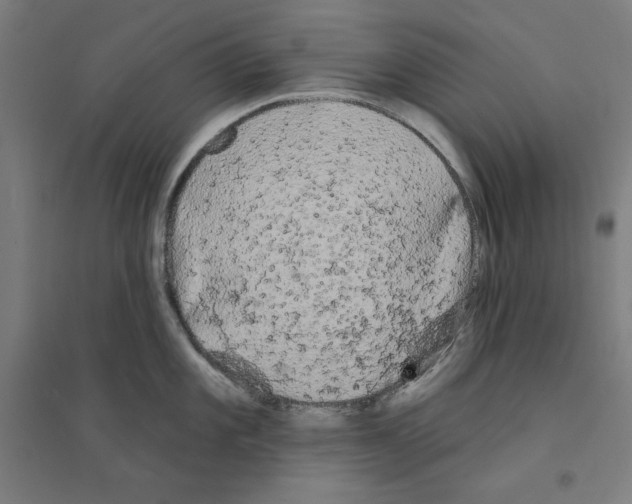 X0000094351101200711301355