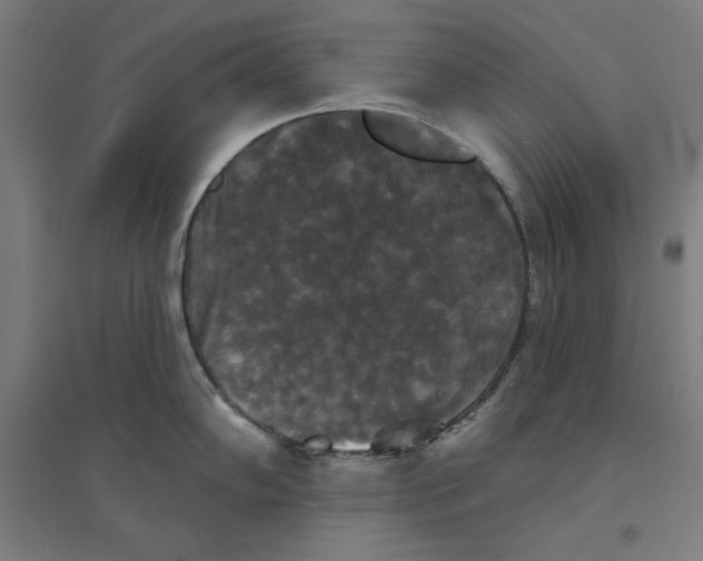 X0000094351102200711301355