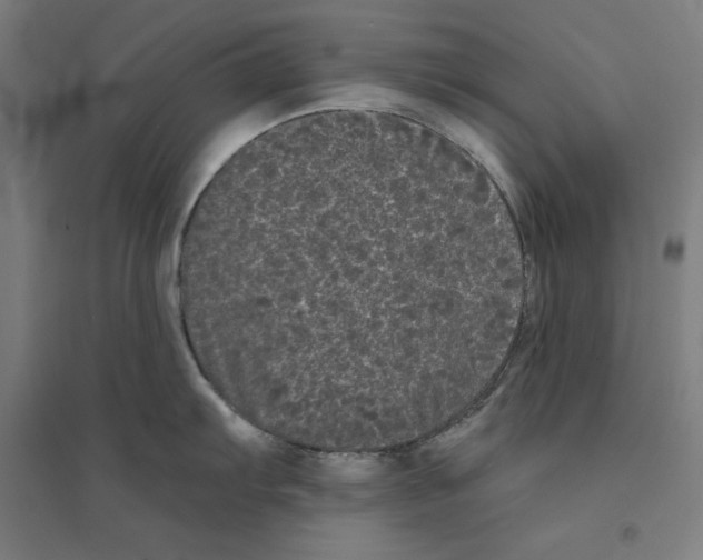 X0000094351103200711301355