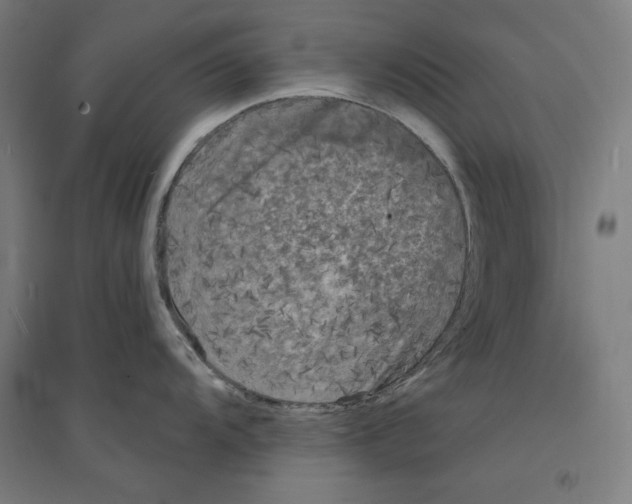 X0000094351104200711301355