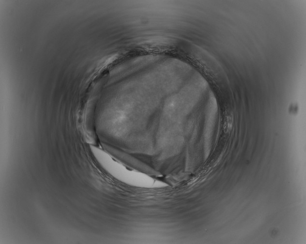 X0000094351108200711301355