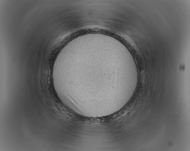X0000094351111200711301355
