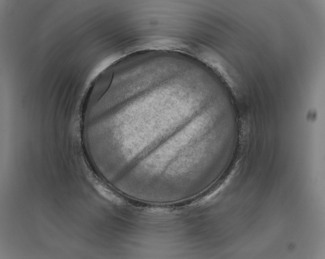 X0000094351114200711301355