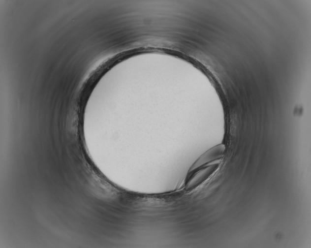 X0000094351115200711301355