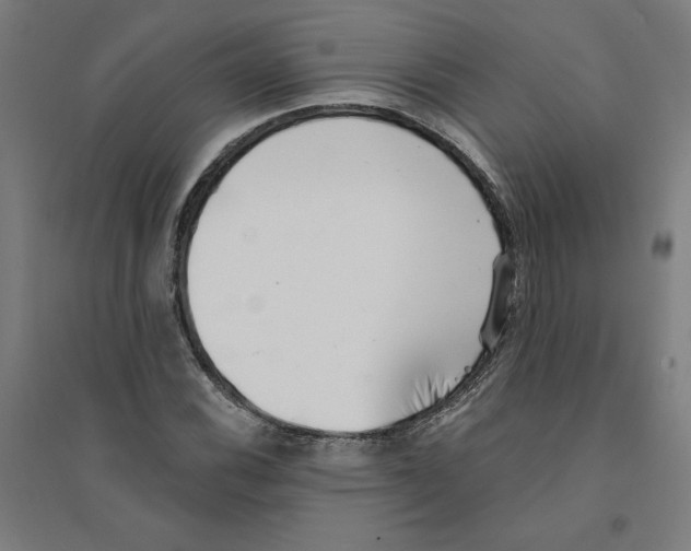 X0000094351116200711301355
