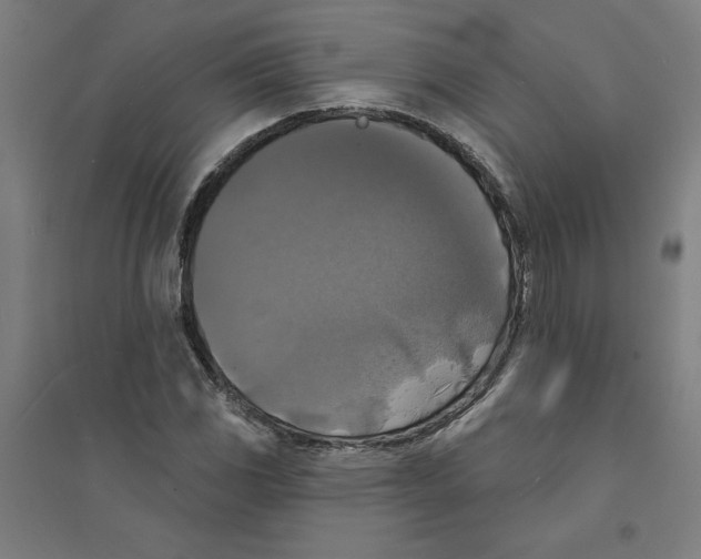 X0000094351117200711301355