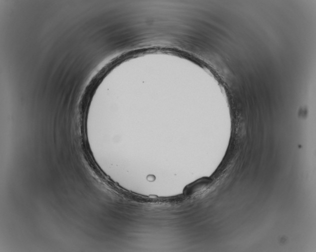 X0000094351118200711301355
