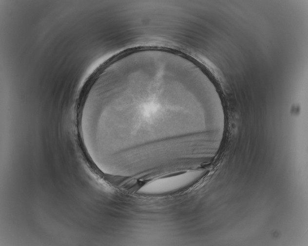 X0000094351120200711301355