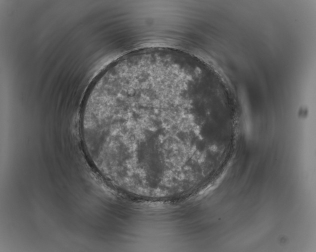 X0000094351121200711301355