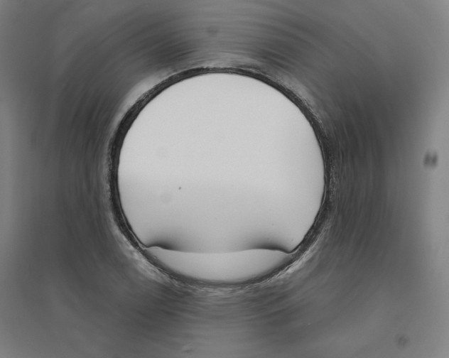 X0000094351122200711301355