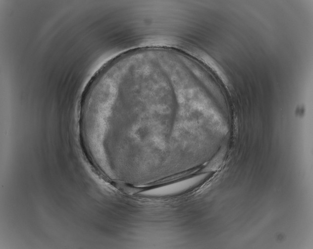 X0000094351124200711301355
