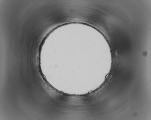 X0000094351126200711301355